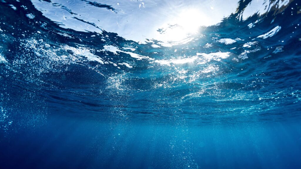 Water in quasars
